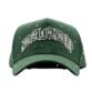 Front view of green Dandy Hats cap with white embroidered "DANDY" text and multicolored rhinestone embellishments.